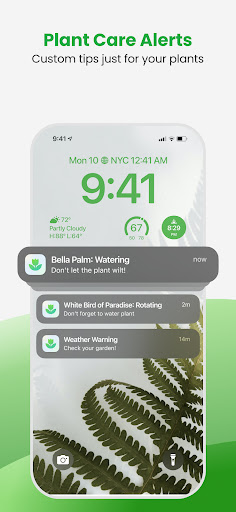 Plant Care Alerts