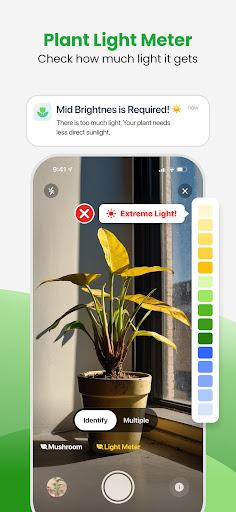 Check how much light it gets