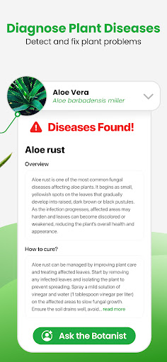 ignose Plant Diseases