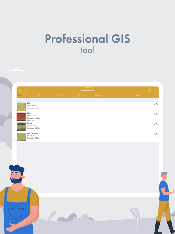 Professional GIS