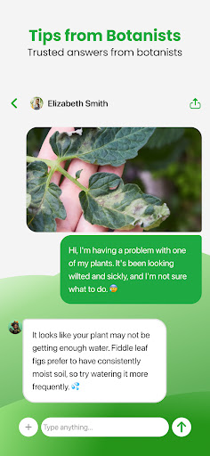 Tips from Botanists